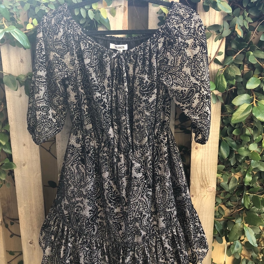 BB Dakota Dress